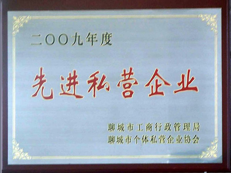 先进私营企业